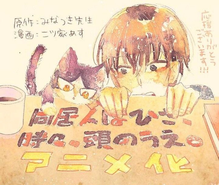 [百度网盘]同居人是猫（2019）