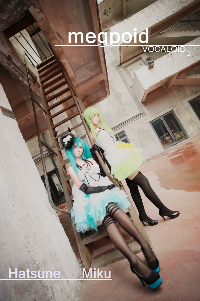 山茶花，MIKU and GUMI