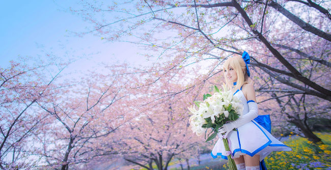 Saber|TYPE-MOON10周年白礼服