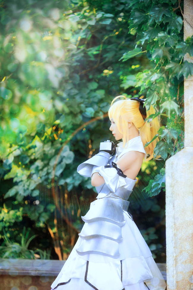 纯白骑士saber Lily