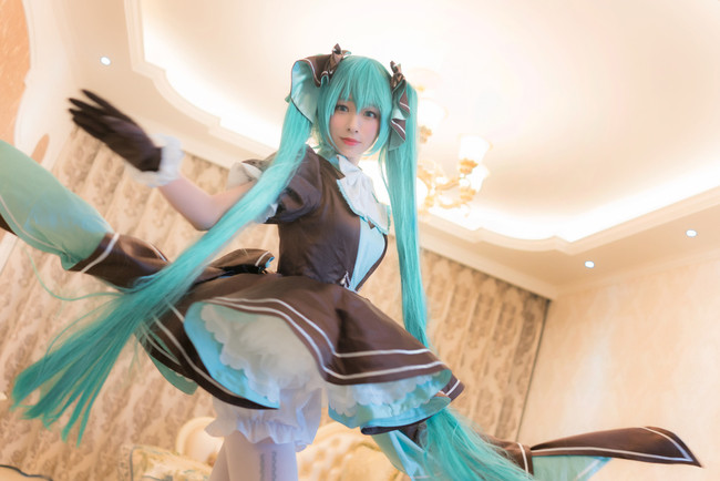 39生诞兔子miku