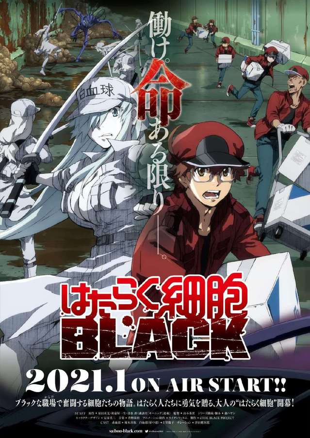 「工作细胞BLACK」动画pv公开，明年1月开播