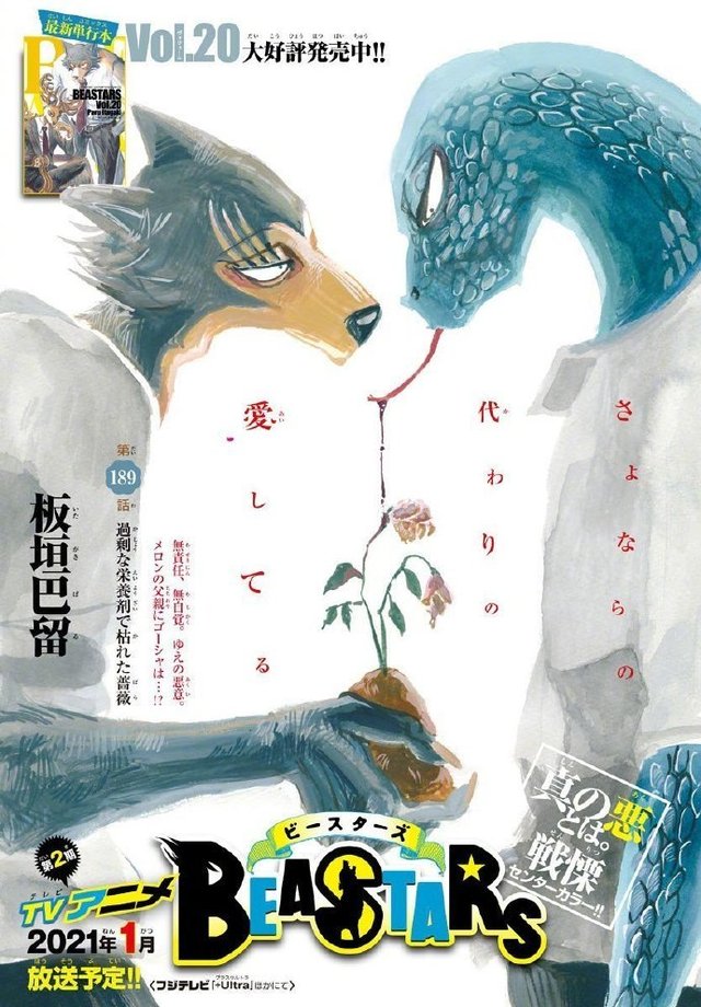 漫画「动物狂想曲（BEASTARS）」最新话彩图公开