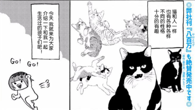 みもり治愈小短篇「猫咪超可爱！！」