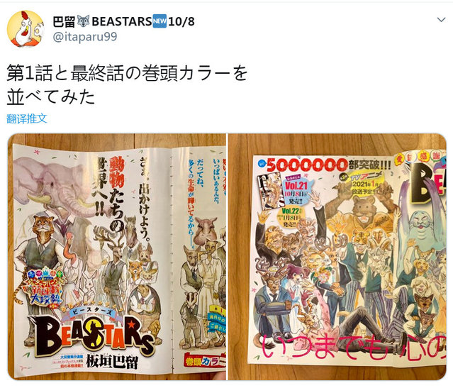 漫画「BEASTARS」原作发表完结感谢绘