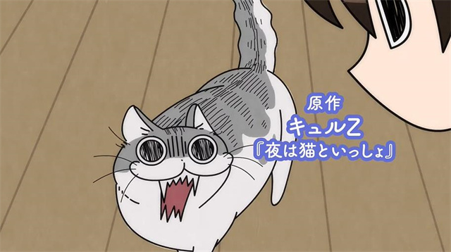 动画「关于养猫我一直是新手」预告PV及主视觉图公开
